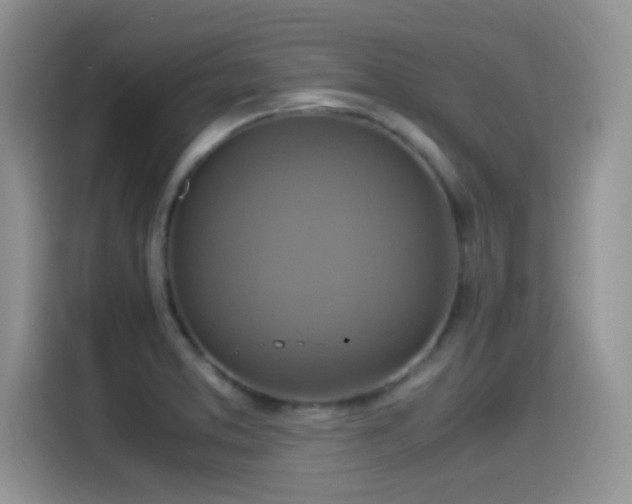 X0000115561373200911061544