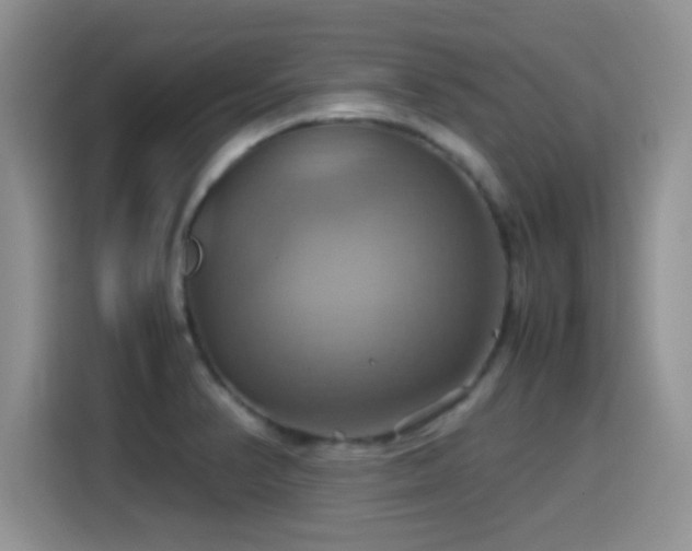 X0000115561374200911061544