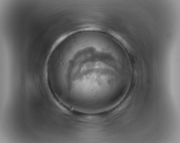 X0000115561375200911061544