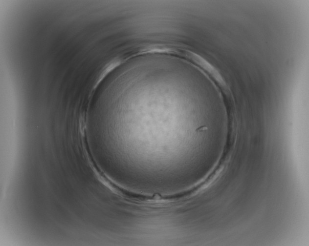 X0000115561377200911061544