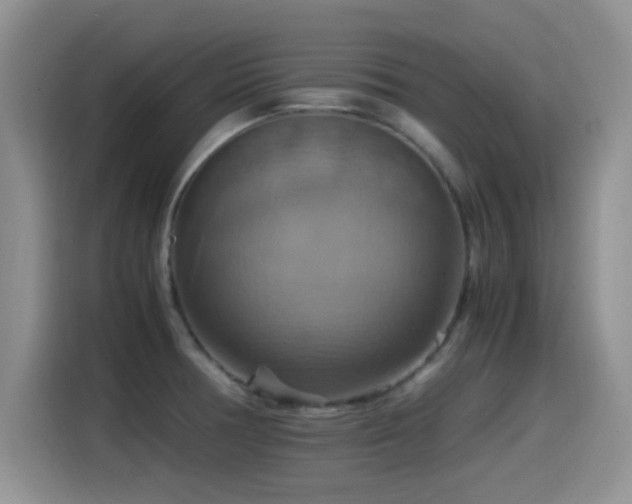 X0000115561378200911061544