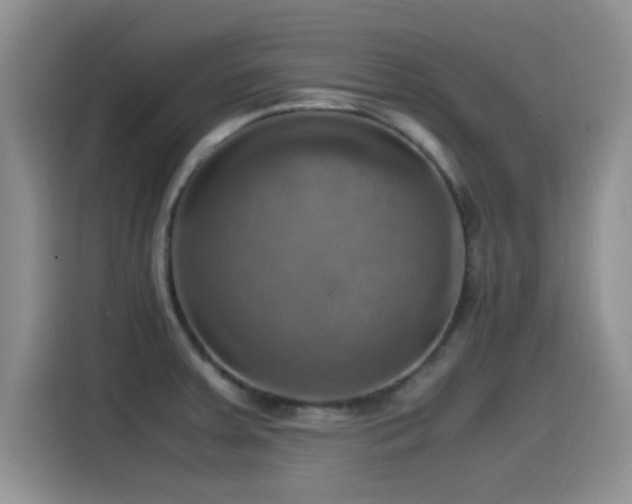 X0000115561379200911061544