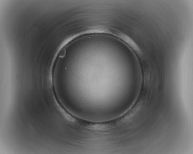 X0000115561380200911061544