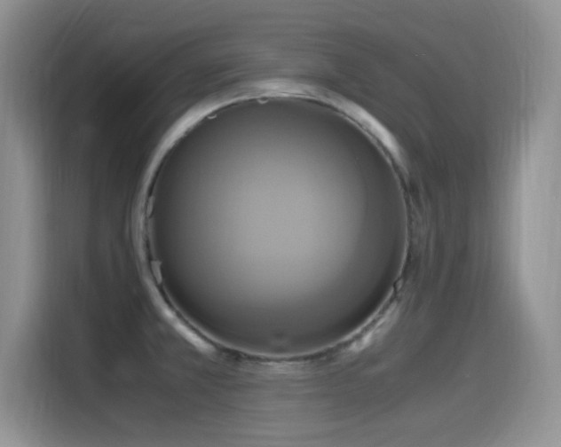 X0000115561381200911061544