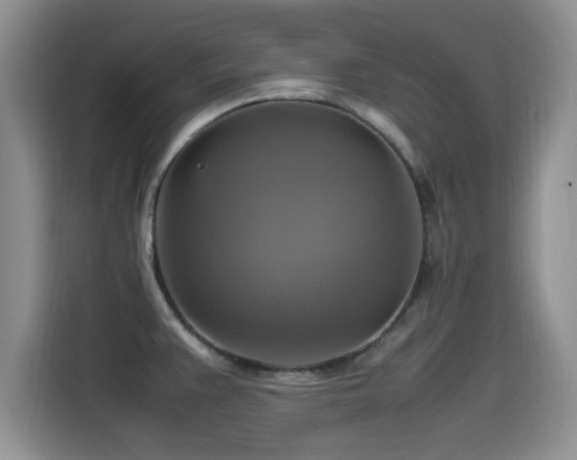 X0000115561383200911061544