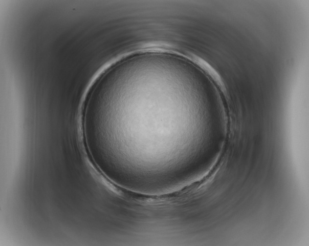X0000115561384200911061544
