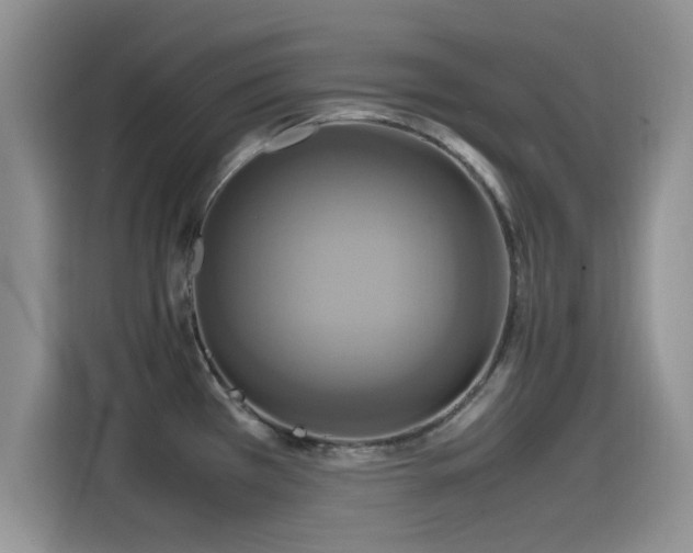 X0000115561385200911061544