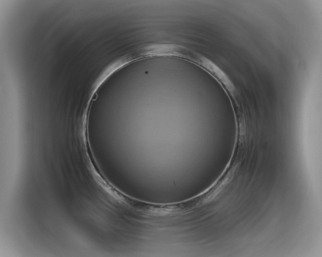 X0000115561386200911061544