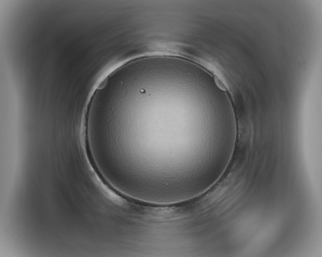 X0000115561387200911061544
