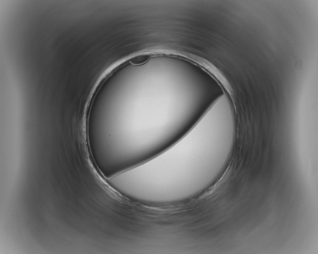 X0000115561388200911061544