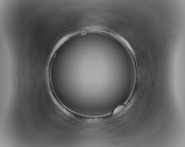 X0000115561389200911061544