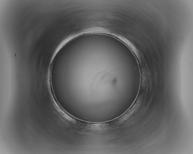 X0000115561390200911061544