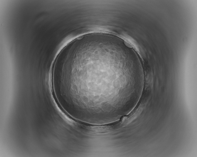 X0000115561391200911061544