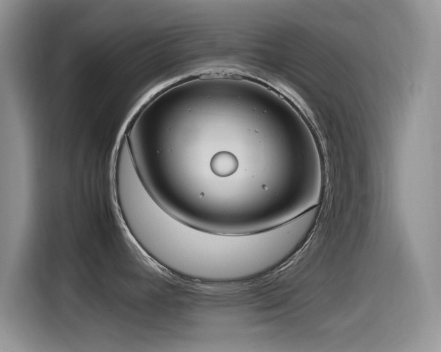 X0000115561392200911061544
