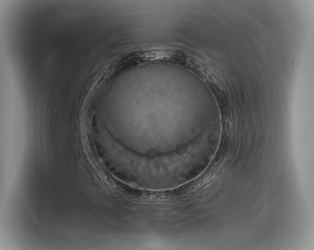 X0000115561393200911061544
