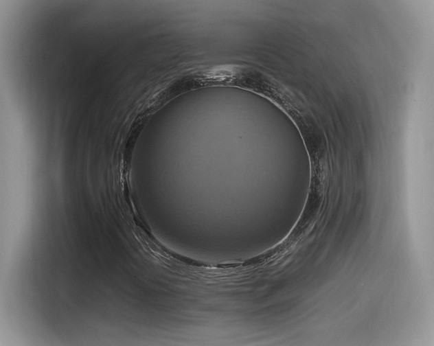 X0000115561394200911061544