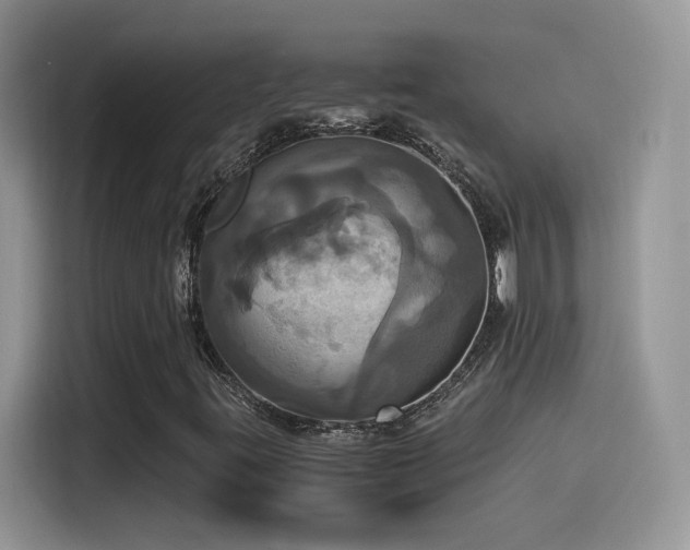 X0000115561395200911061544