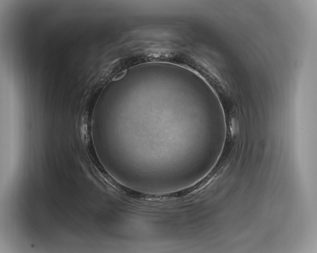 X0000115561396200911061544