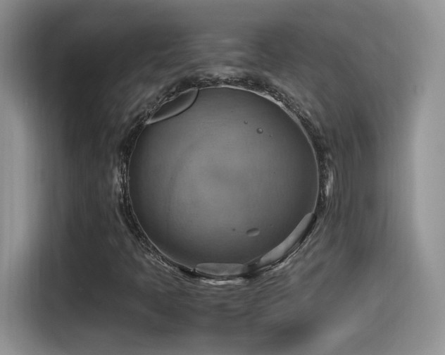 X0000115561397200911061544