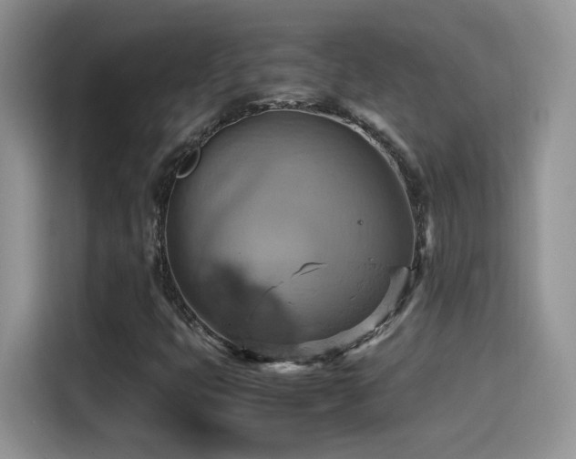 X0000115561399200911061544