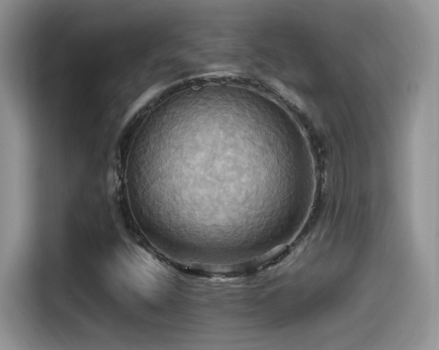 X0000115561400200911061544