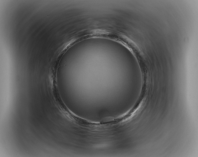X0000115561401200911061544