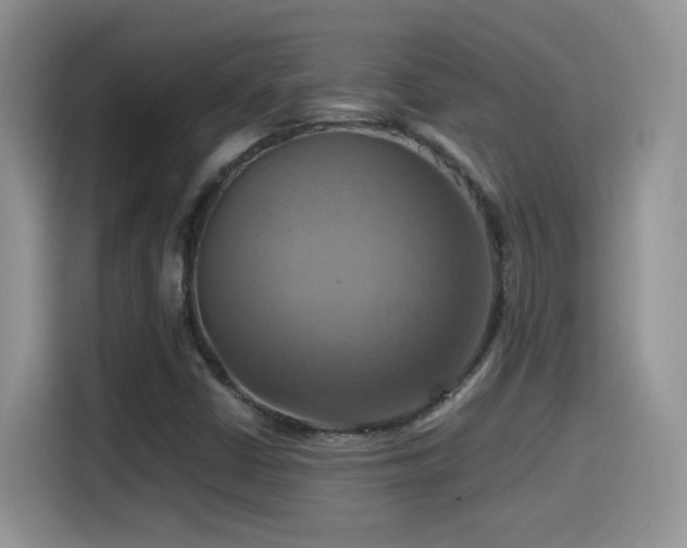 X0000115561402200911061544
