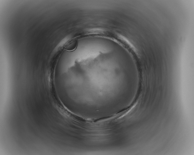 X0000115561403200911061544