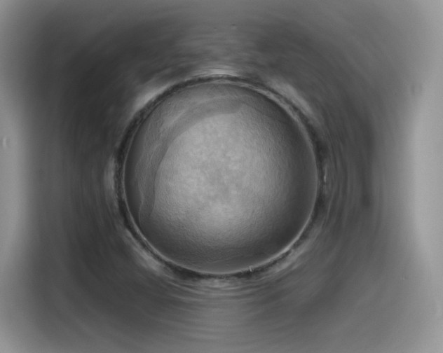X0000115561404200911061544