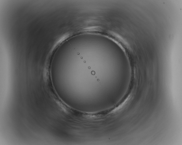 X0000115561405200911061544