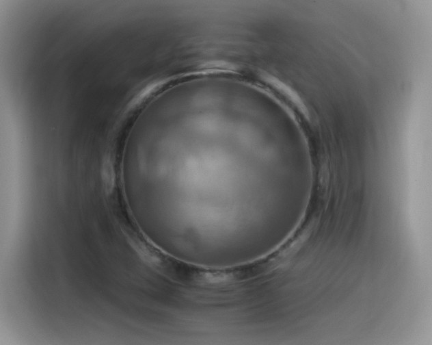 X0000115561407200911061544