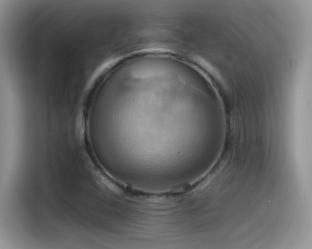 X0000115561408200911061544