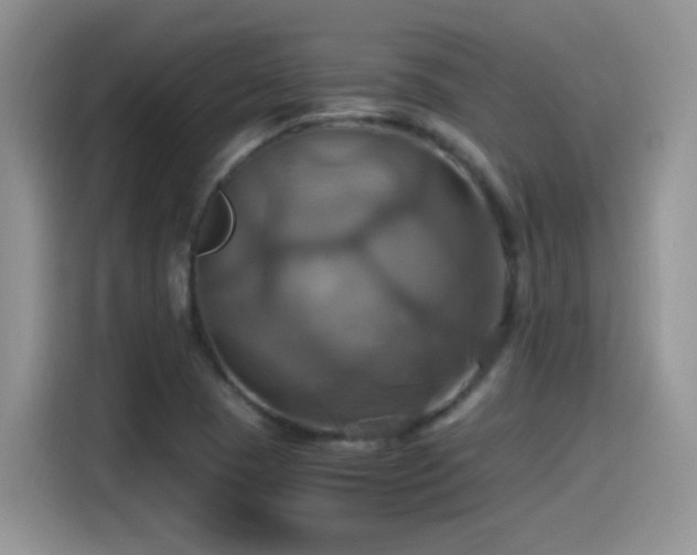 X0000115561409200911061544