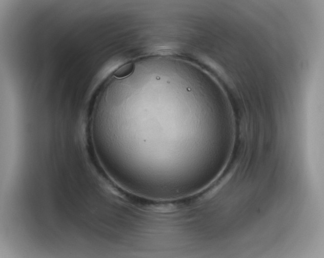 X0000115561410200911061544