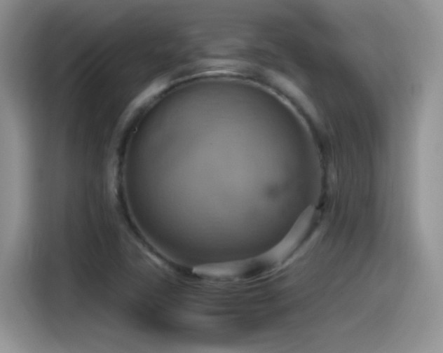 X0000115561411200911061544