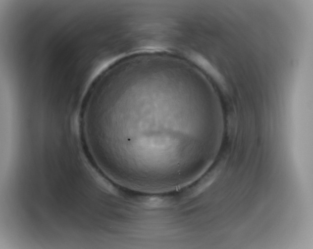 X0000115561412200911061544