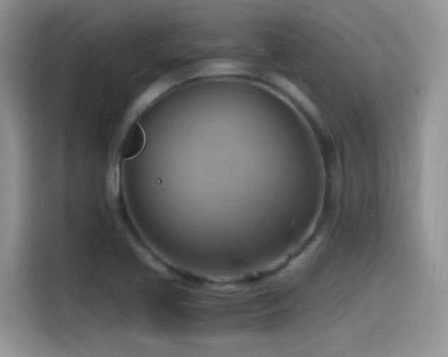 X0000115561413200911061544