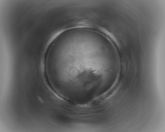X0000115561415200911061544