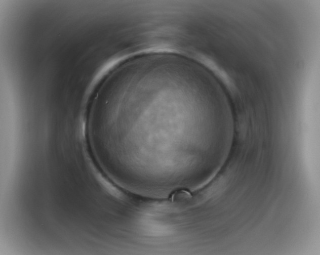 X0000115561416200911061544