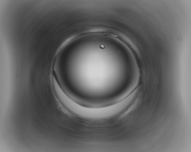 X0000115561417200911061544