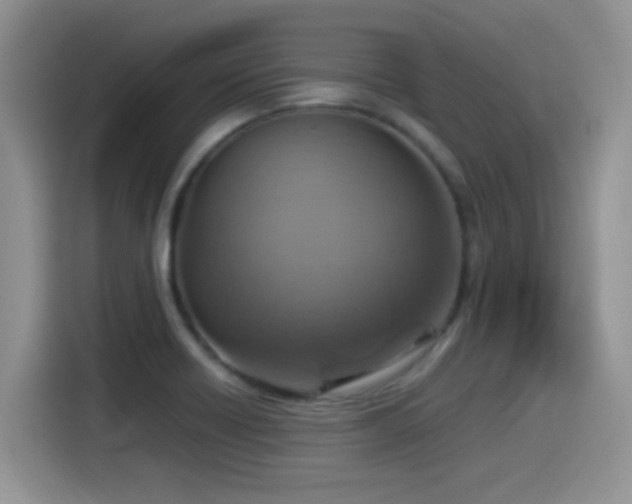 X0000115561418200911061544