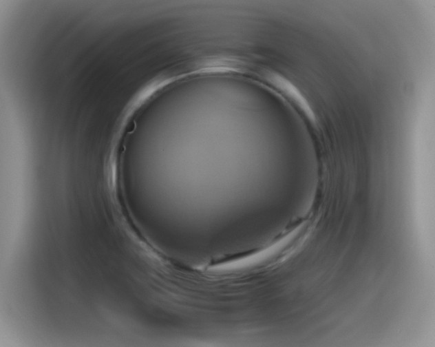 X0000115561419200911061544
