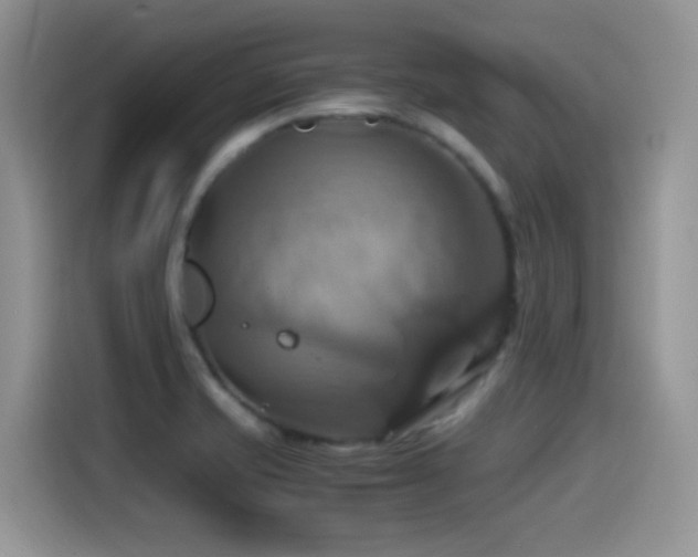 X0000115561421200911061544