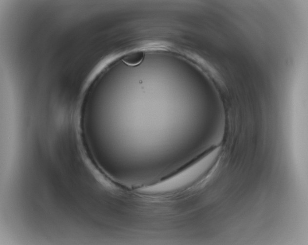 X0000115561422200911061544