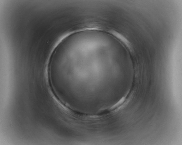 X0000115561423200911061544