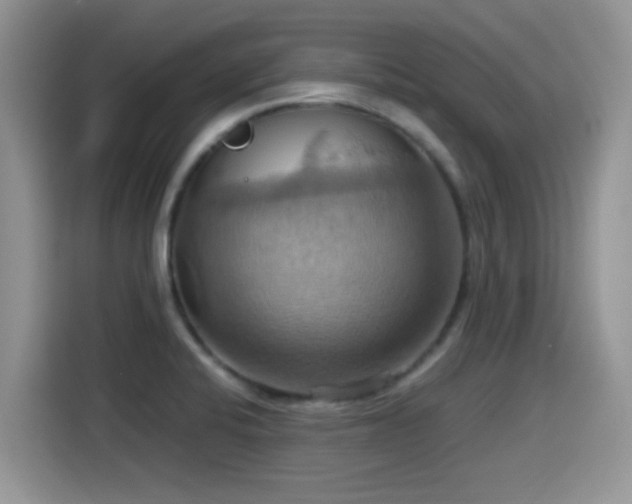 X0000115561424200911061544