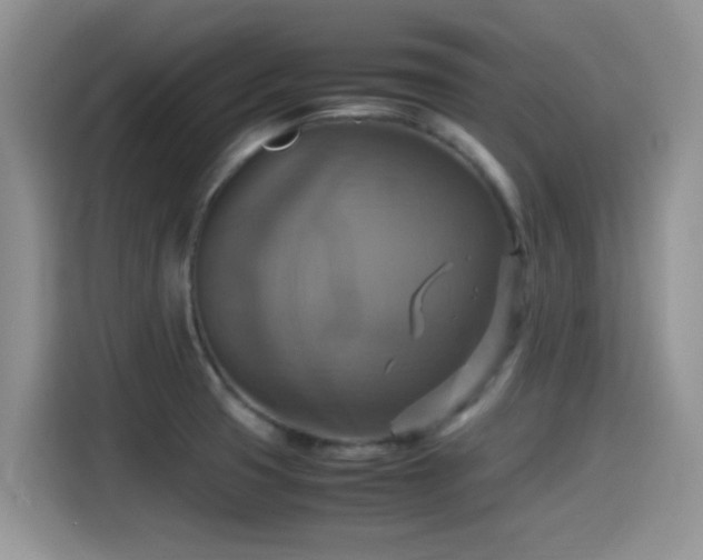 X0000115561425200911061544
