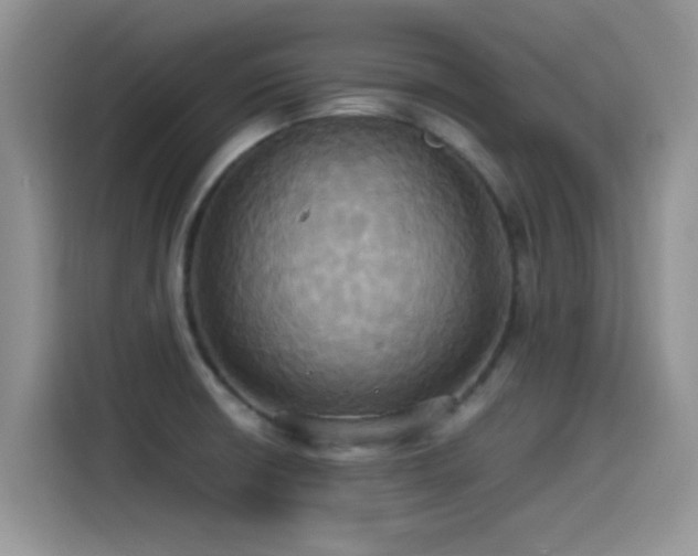 X0000115561426200911061544