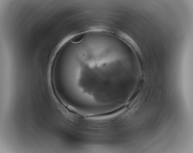 X0000115561427200911061544