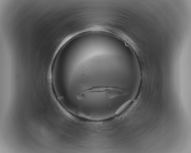 X0000115561428200911061544